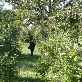 Apple Holler - One of my friends walking in the orchard - American Near Me - Sturtevant, Wisconsin