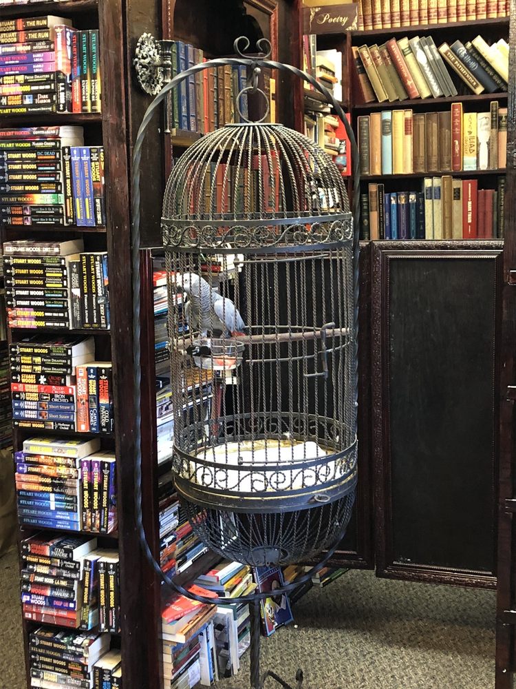THE BOOK CELLAR Updated September 2024 44 Photos & 63 Reviews 96 Lincoln Blvd, Lincoln