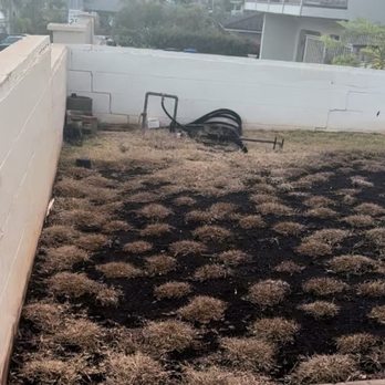 Estrada Landscape Services - Landscaping Near Me