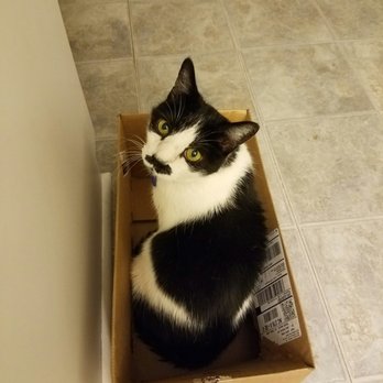 pet clinic of rocky mount