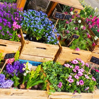 Floreal Blumen - Ostern 2014 - Florists Near Me - Munich, BY
