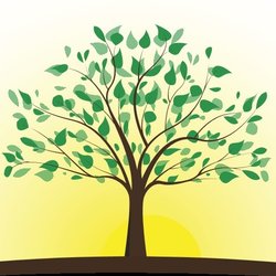 Mindful Therapy Solutions LCSW