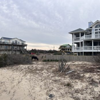Wild Horse Adventure Tours - Tours Near Me - Corolla, North Carolina
