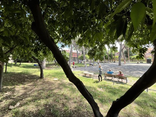 Giardino degli Aranci by null