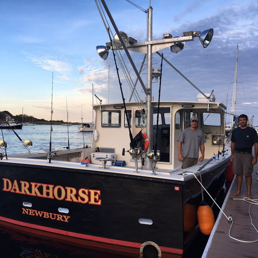 Dark Horse Charters - Boat Charters Near Me Dark Horse Charters - Boat Charters Near Me