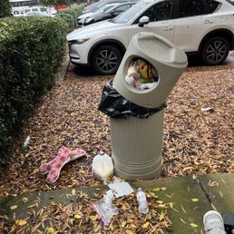 For weeks this has been here For weeks this has been here