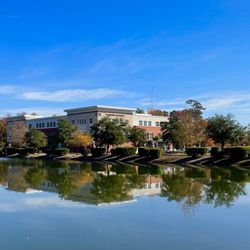 The Southeastern Spine Institute