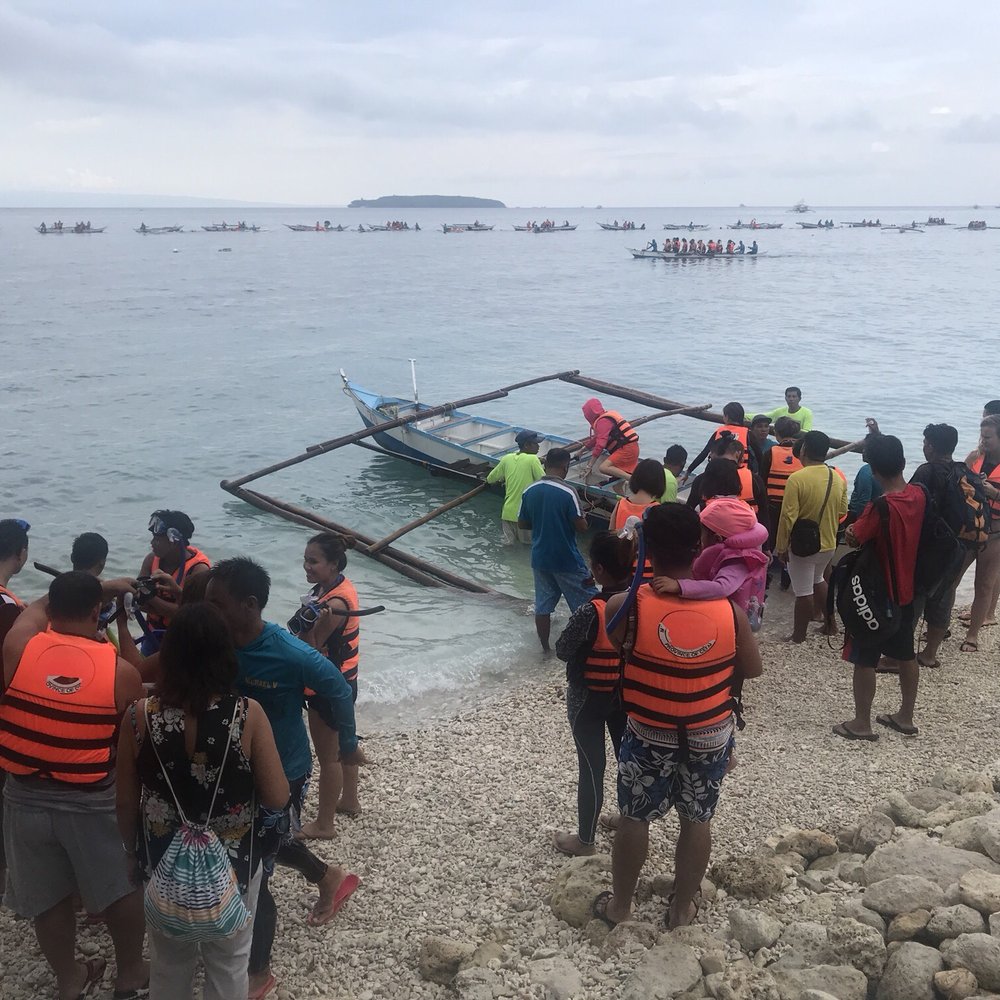 Oslob Whale Shark Watching - Can't swim, no problem. They will still let you get in the water - Whale Watching Tours Near Me - Oslob, CEB Oslob Whale Shark Watching - Can't swim, no problem. They will still let you get in the water - Whale Watching Tours Near Me - Oslob, CEB