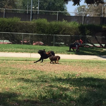 Costa Mesa Bark Park - Dog Parks Near Me - Costa Mesa, California Costa Mesa Bark Park - Dog Parks Near Me - Costa Mesa, California