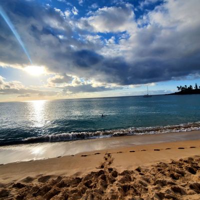 Waimea Bay by null