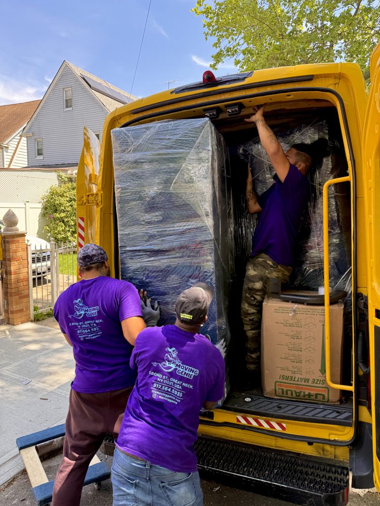 THE MOVING GENIE LLC