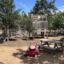 12 Fox Beer - Lots of tables and play space for the kiddos