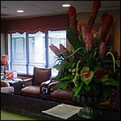 Alan N Rembos, DDS