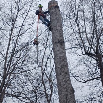 Ellis Outdoor Services - Tree Services Near Me