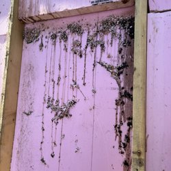 AAAC Wildlife Removal of Madison