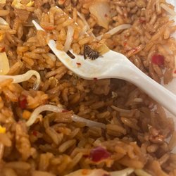 China Express - Found portions of a bug in my food. Unsanitary establishment and they should be reported for health code violations.