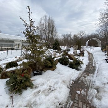 Anga's Farm & Nursery - Anga's Farm & Nursery - property - Nurseries & Gardening Near Me - Etobicoke, Ontario Anga's Farm & Nursery - Anga's Farm & Nursery - property - Nurseries & Gardening Near Me - Etobicoke, Ontario
