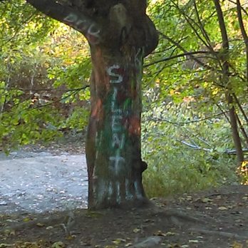 Centralia - Graffiti filled tree with the words Silent Hill for the movie - Local Flavor Near Me