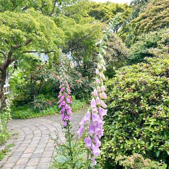 Connie Hansen Garden Conservancy - Botanical Gardens Near Me - Lincoln City, Oregon