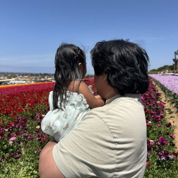 The Flower Fields - Venues & Event Spaces Near Me - Carlsbad, California