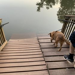 GOAT ISLAND PARK