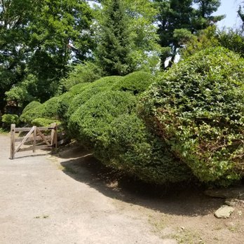 Quick lawn care services - landscape maintenace - Landscaping Near Me - Norristown, Pennsylvania Quick lawn care services - landscape maintenace - Landscaping Near Me - Norristown, Pennsylvania