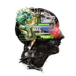 Felix Web Design