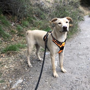 Holy Jim Falls Trail - Hiking Near Me - Trabuco Canyon, California