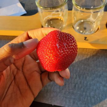 Two Story Chimney Ciderworks - Healthy strawberry that was included with the sandwich we got at the front of the building from the vendors. - Cideries Near Me - Gaithersburg, Maryland