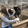 Photo of Rocky Mountain Wildlife Foundation