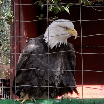 Wildlife Learning Center - Zoos Near Me - Sylmar, California Wildlife Learning Center - Zoos Near Me - Sylmar, California