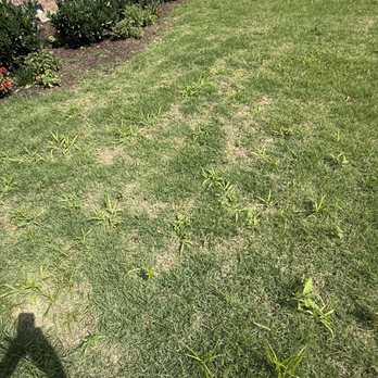 Quigley's Landscaping - Landscaping Near Me