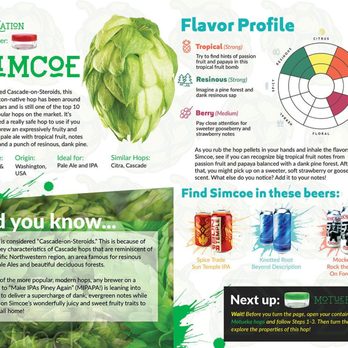 Beer Drop - Hop Exploration Box insert. Hop flavor profile. - Beer, Wine & Spirits Near Me - Denver, Colorado
