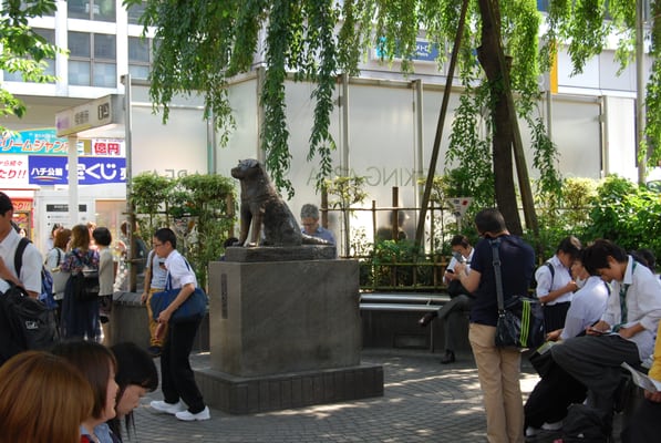 Shibuya Scramble Crossing by null