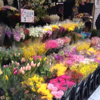 花屋 古城 品川区平塚1 7 2 品川区 東京都 Japan Yelp 花屋 古城 品川区平塚1 7 2 品川区 東京都 Japan Yelp