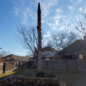 Escalante Tree Service - Tree Services Near Me Escalante Tree Service - Tree Services Near Me