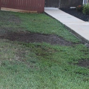 Creative Concrete - Damaged turf/lawn - General Contractors Near Me - Helotes, Texas Creative Concrete - Damaged turf/lawn - General Contractors Near Me - Helotes, Texas