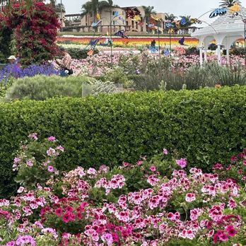 The Flower Fields - Venues & Event Spaces Near Me - Carlsbad, California The Flower Fields - Venues & Event Spaces Near Me - Carlsbad, California