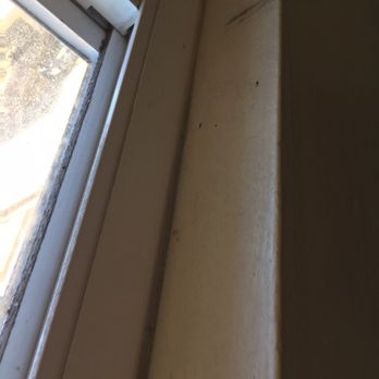Tidy - Home Cleaning Near Me Tidy - Home Cleaning Near Me