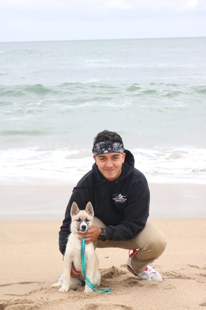 DOZA’S DOGS 31 Photos & 22 Reviews Pet Sitting Palo Alto, CA