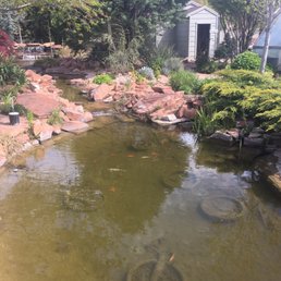 Pond Pond