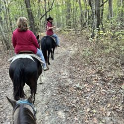 Shady Grove Dude Ranch - Trail ride