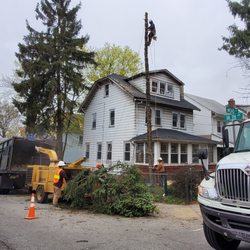 BJS Tree Service