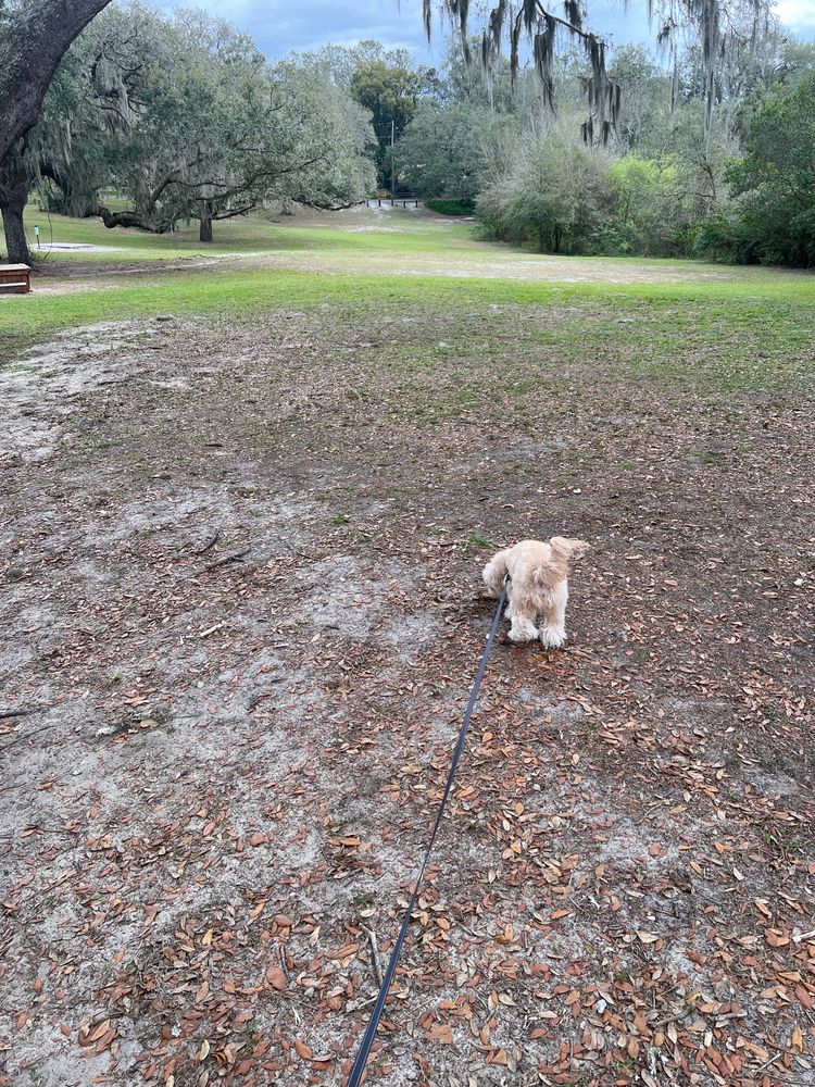 LIMONA PARK Updated August 2024 1315 Lakewood Dr, Brandon, Florida