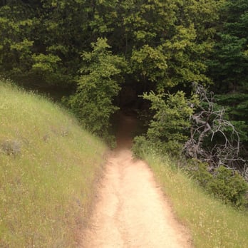 Matt Davis-Steep Ravine Loop - The tunnel!!! - Hiking Near Me - Stinson Beach, California Matt Davis-Steep Ravine Loop - The tunnel!!! - Hiking Near Me - Stinson Beach, California