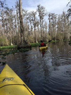 Stephen C Foster State Park by null