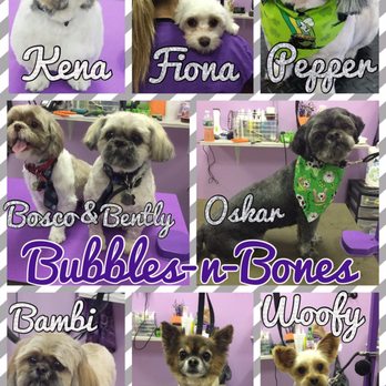 Bubbles-N-Bones - Pet Groomers Near Me - Seaford, New York