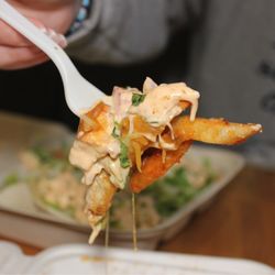 Wow Tikka - Desi Loaded Fries