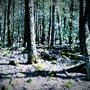 Photo of Reeds Gap State Park