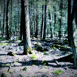 Reeds Gap State Park - Reeds Gap.